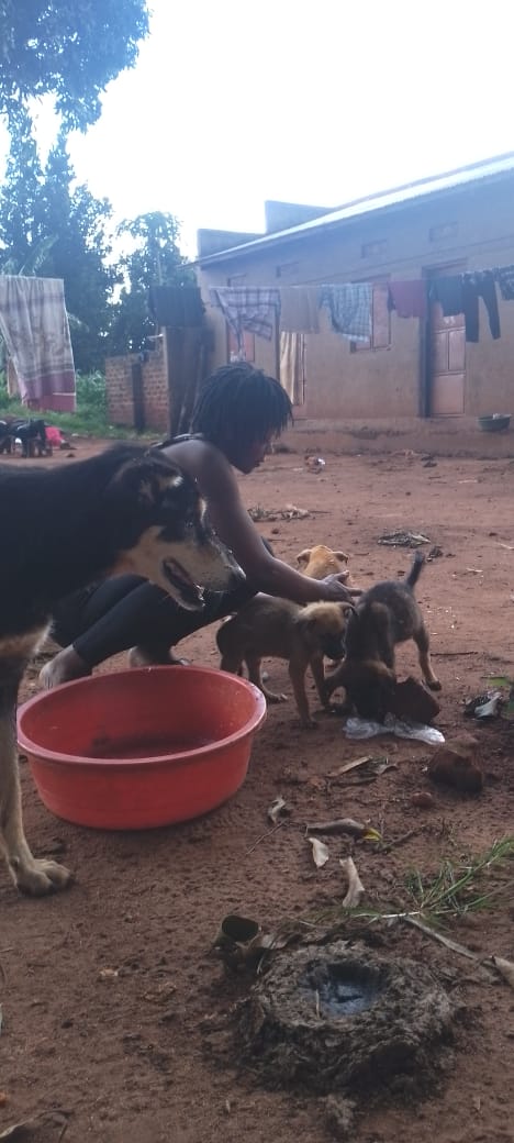 Rescued animal